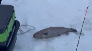 copy_06A7782D-7E51-45E6-9989-B9CEF0397161