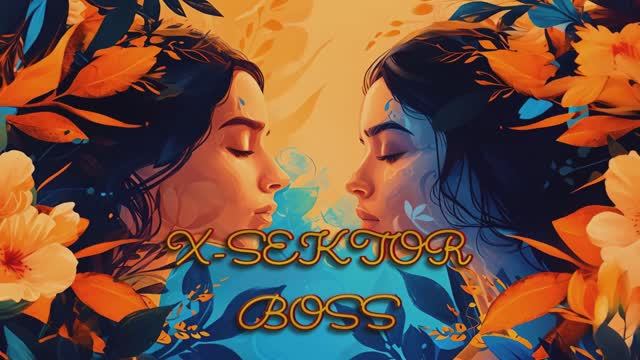 X-SektorBoss 241 - Сеять разумное.