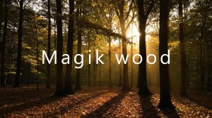 Музыка для расслабления сна Волшебный Лес