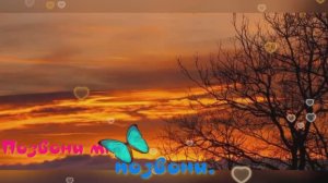 Позвони мне позвони.