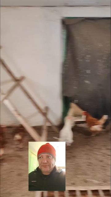 🏡СКОРО на канале! Переезд на Юг📲 8 924 540 49 92 Виктор Саликов 🌴 смотреть онлайн