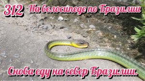 Снова еду на север Бразилии. На велосипеде по Южной Америке День 312 Бразилия