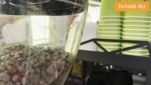 Ежегодный региональный чемпионат Национальной премии «Бариста года» открылся вчера в Хабаровске