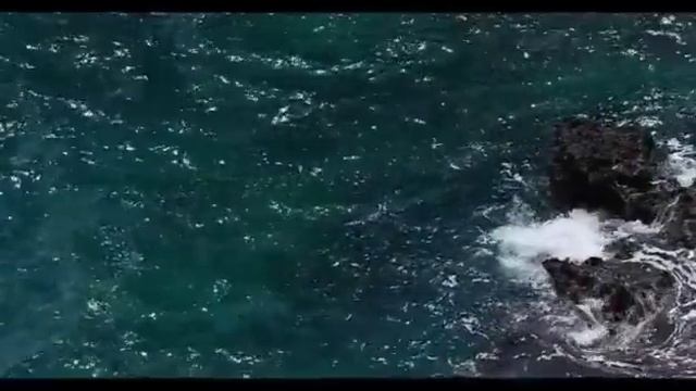 Правдивая Ольга. Анжелика Снежинская рванула в атаку. Адамян под ударом смотреть онлайн