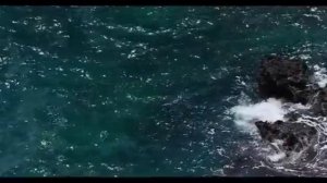 Правдивая Ольга. Анжелика Снежинская рванула в атаку. Адамян под ударом