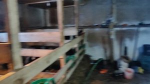 " У Палыча " видеоприветствие.