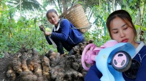 Мама поневоле. Дуонг. Собираю дикие клубни и продаю их. Вспоминаю теплые времена с ребенком.Серия 47