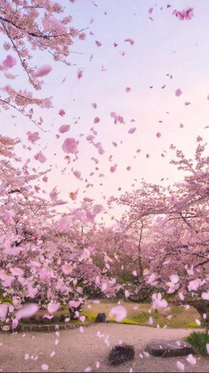 Stone - Youth of summer смотреть онлайн