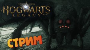 [Запись СТРИМА] Гнездо арахнидов - Hogwarts Legacy #24