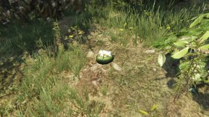 Где найти все Лофофоры (пейоты) в gta 5