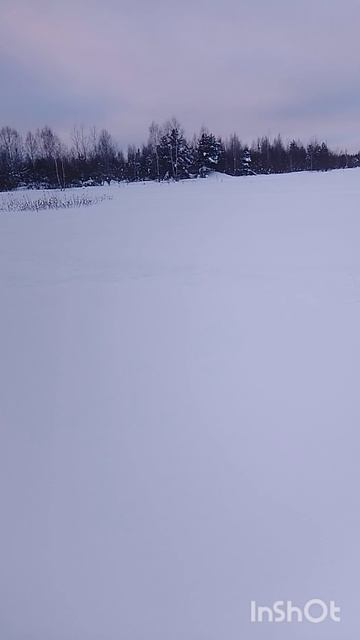 К пчёлам🐝🐝 на лыжах ⛷