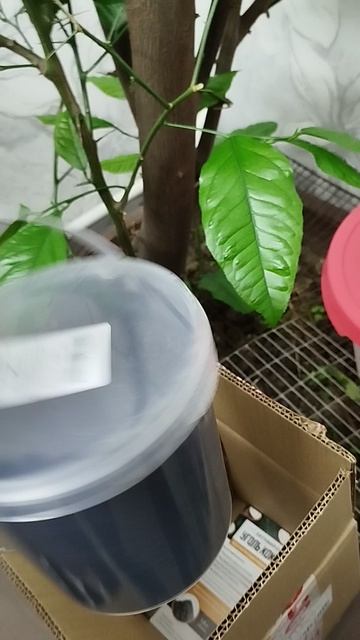 Кокосовый уголь с маркетплейс.