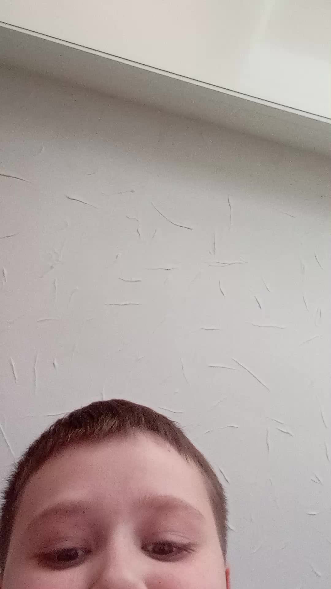 смотрю Фокса с богом смотреть онлайн