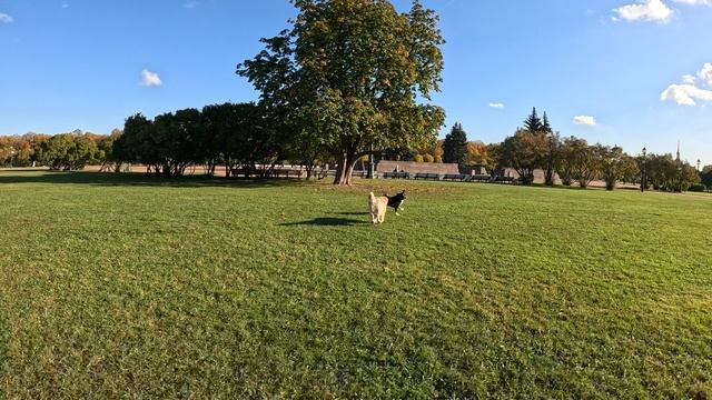 Прогулка Марсово поле смотреть онлайн