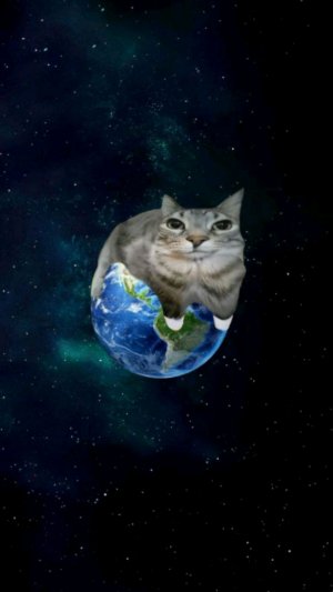 делаю дз часть 16