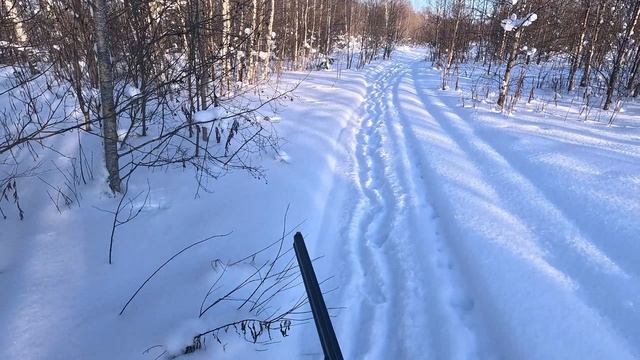 Вылазка в лес.Морозно и снежно! 07.02.2026 смотреть онлайн