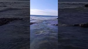 Развалины ВДЦ Смена - украшение пляжа Сукко 7 февраля 2026