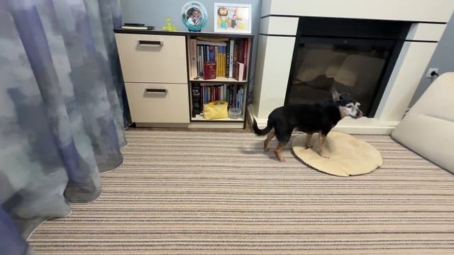 08.02.26 Сергей варит суп❗️Как проходит выходной. Шашлык в духовке 💥 смотреть онлайн