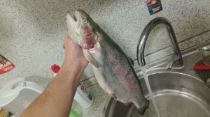 1 Форель, а БЛЮДА ДВА | Плюс Стейки на ЗАПАС