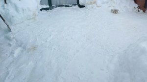 Воскресный день. Дневник за 8 февраля