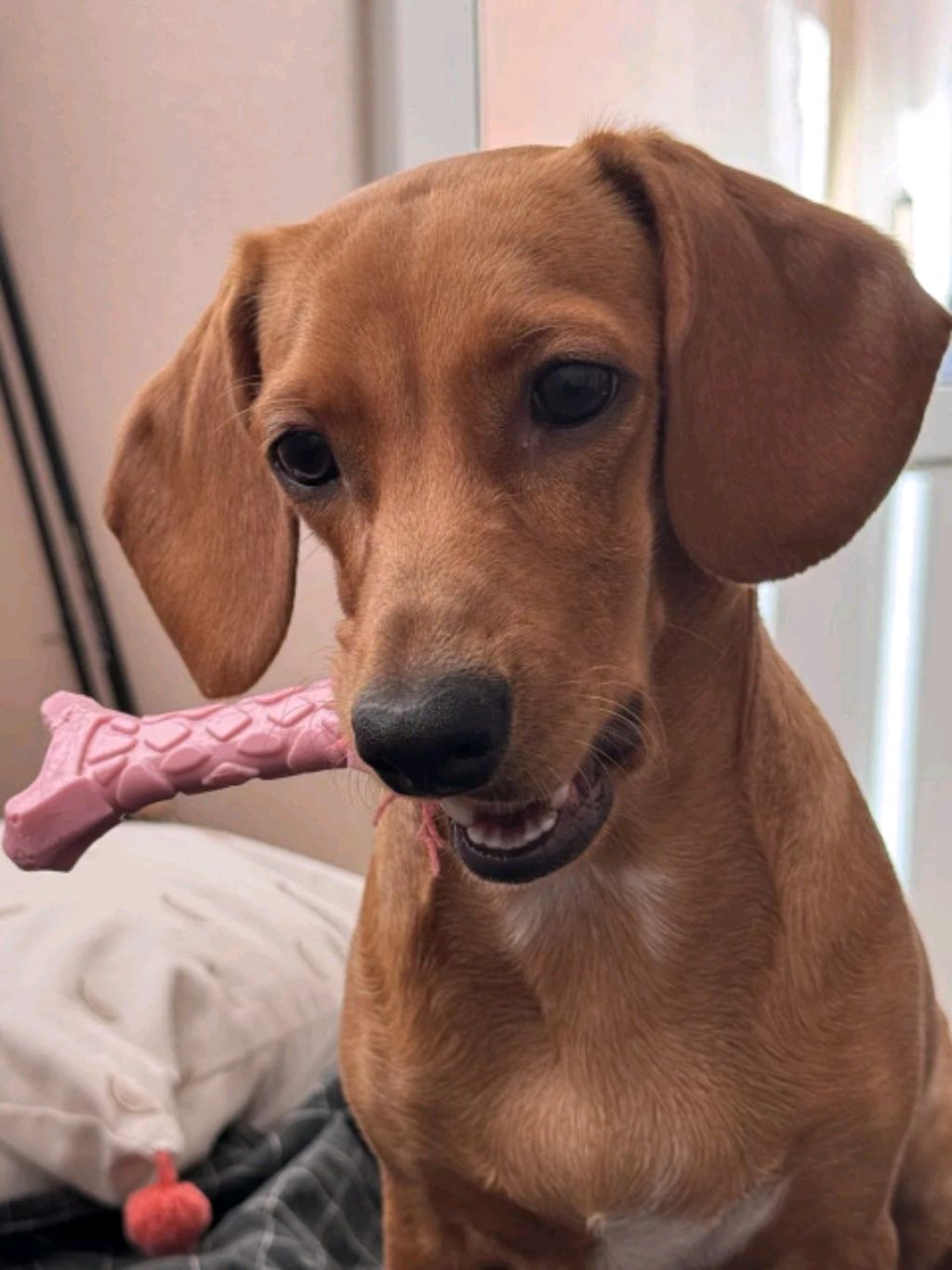 вика у меня смотреть онлайн