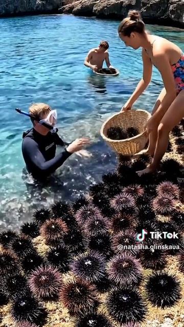 На рыбалку...🦑🦞🦀🦐🐠