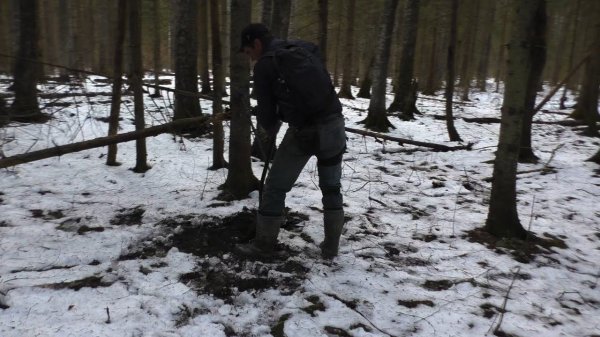 МОРОЗ -30, А У НАС ВЕСНА И ТАКИЕИЕ НАХОДКИ!