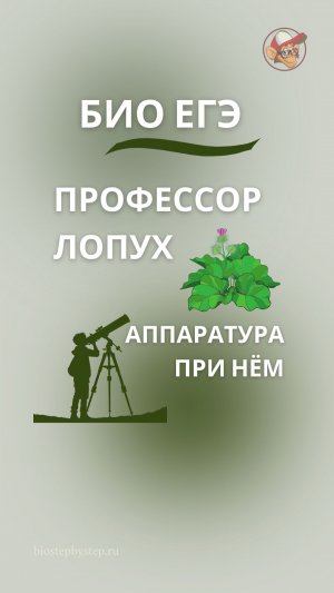 Профессор лопух ☘, но аппаратура при нём 📡
