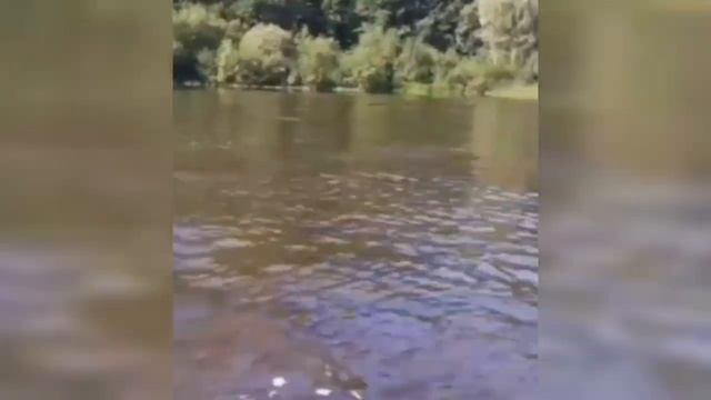 как мы провели лето