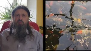 Тайна ценности кои для человека ! О чём молчат японские элиты?  Портал в самопознание.