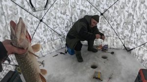 На Дне Море ПЛОТВЫ. ЖОР ЩУКИ В ГЛУХОЗИМЬЕ!