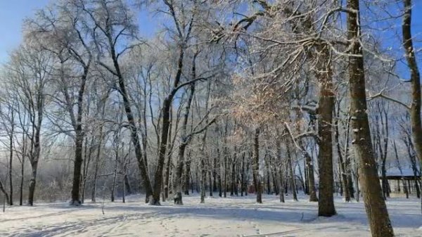 Мне стало нравиться молчать Потрясающая песня Валерия Поповича @ЛюбовьПахомовская