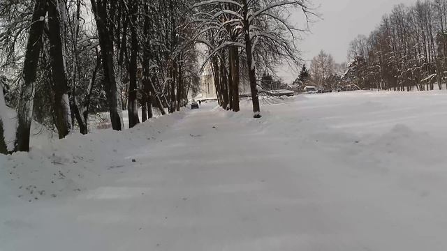 Звенигород 7 февраля 2026