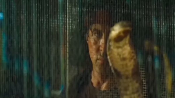 Рэмбо 4 разочарование