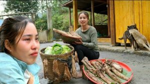 Собираю капусту для продажи и закоптила мясо. Заливаю полы в доме. Жизнь Дуонг