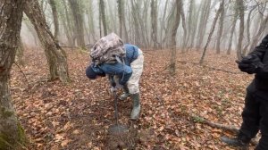 Прогулка по лесу #нашли что-то