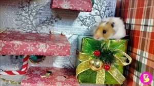 ХОМЯЧОК САХАРУЛЯ В ЗИМНЕМ ЛАБИРИНТЕ* ВИКИ ЛАКИ* НОВИНКА