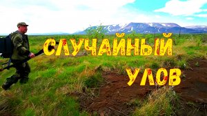 Случайно нашли озеро в окрестностях Норильска. Клевал окунь на виброхвост, вертушку и червя