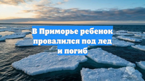 В Приморье ребенок провалился под лед и погиб