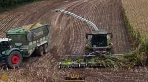 Кукуруза стоит так хорошо, что измельчитель заполняет прицеп за 3,8 мин. Измельчители кукурузы ЛУ