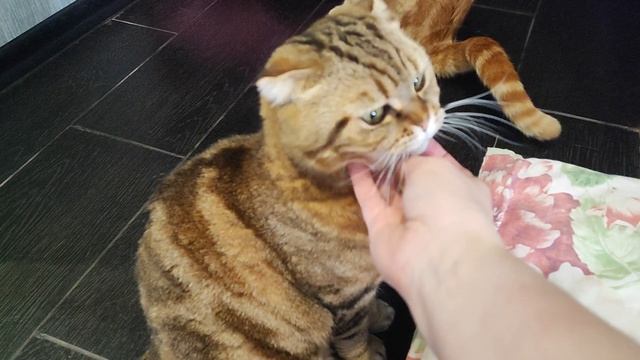 массажный кабинет смотреть онлайн