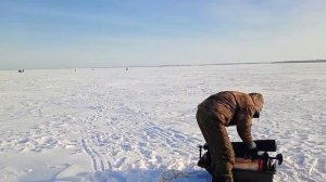 Березки, 08,02