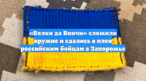 «Волки да Винчи» сложили оружие и сдались в плен российским бойцам в Запорожье