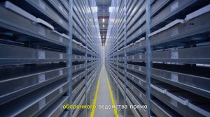 НИДЕРЛАНДЫ В ПАНИКЕ! Жесткий ультиматум Путина лишил Европу будущего. → 👤 #Рупор_Правды