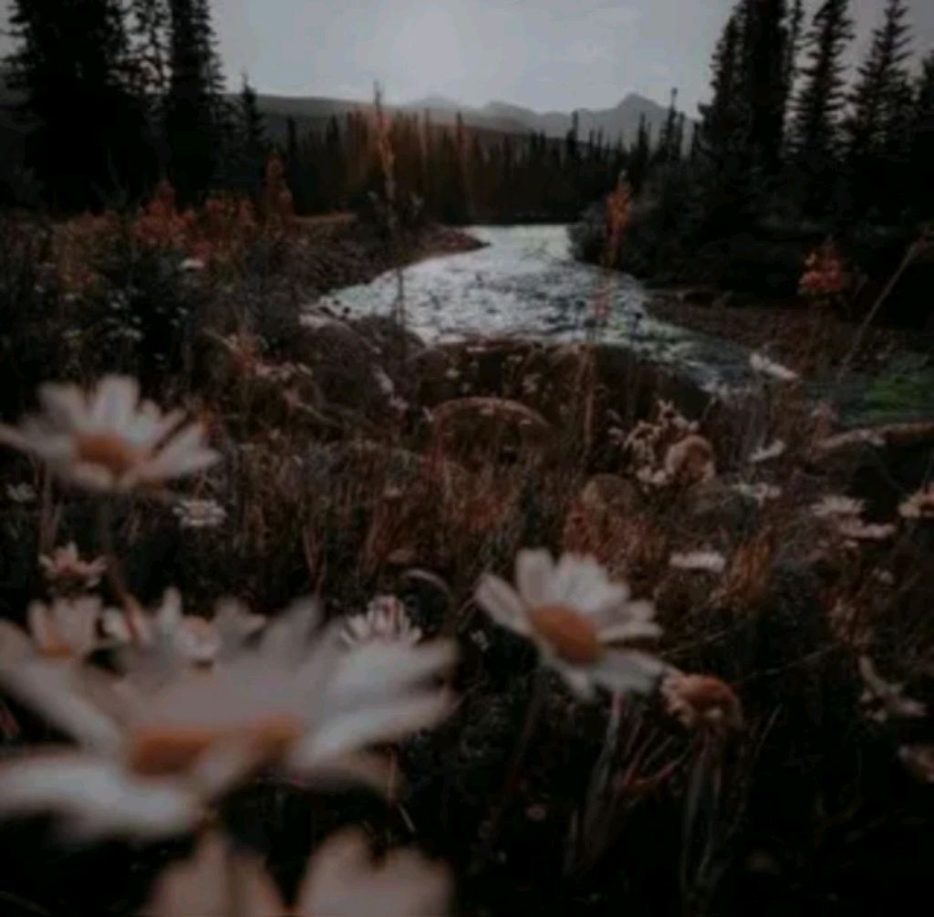 не знаю смотреть онлайн