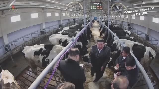 Лидер КНДР Ким Чен Ын церемония ввода в строй Самгвангского животноводческого комплекса, 03.02.2026