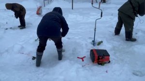 08.02.26 г. РК Волна.