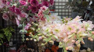 08-02-2026.Прогулка по Оби Мега Парнас.Орхидеи и другие цветы.