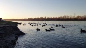 Сентябрьский вечер