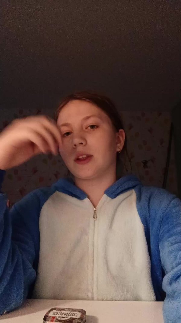 красим#scandic